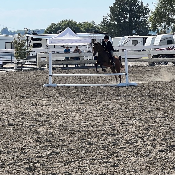 Meet your Posher, Rileigh - Picture 7 of 7